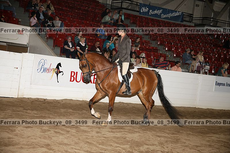 Proof Number buckeye_08_3499