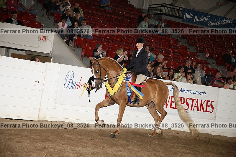 Proof Number buckeye_08_3526