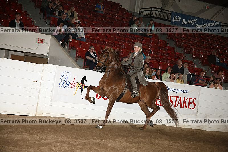 Proof Number buckeye_08_3537