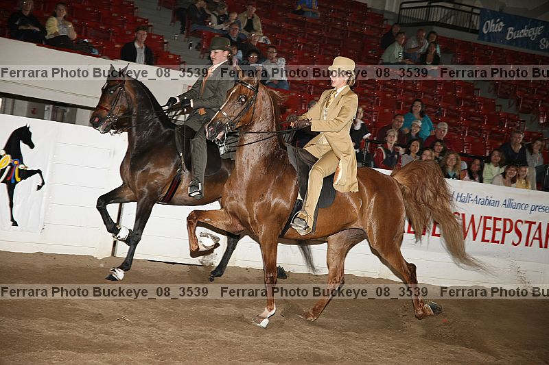 Proof Number buckeye_08_3539