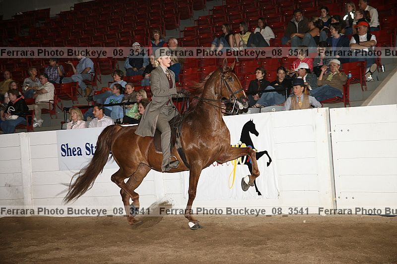 Proof Number buckeye_08_3541