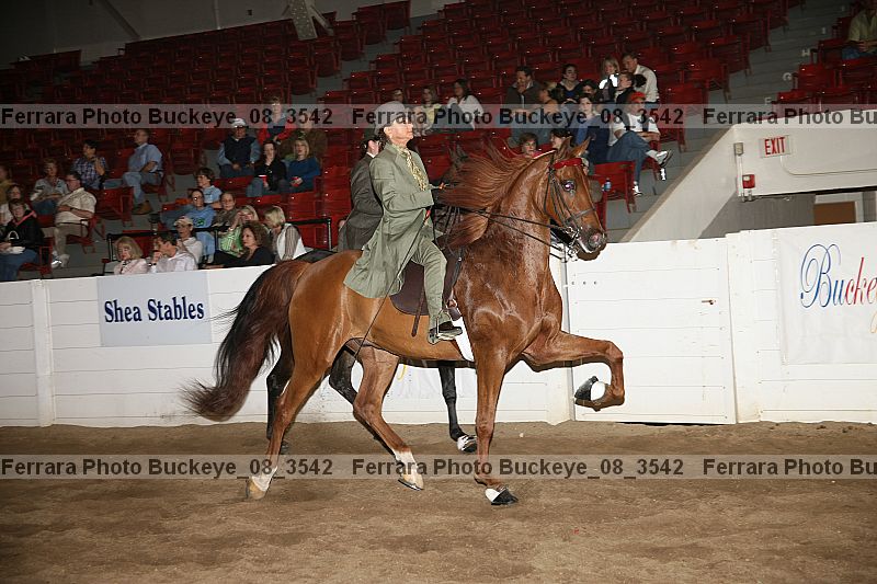 Proof Number buckeye_08_3542