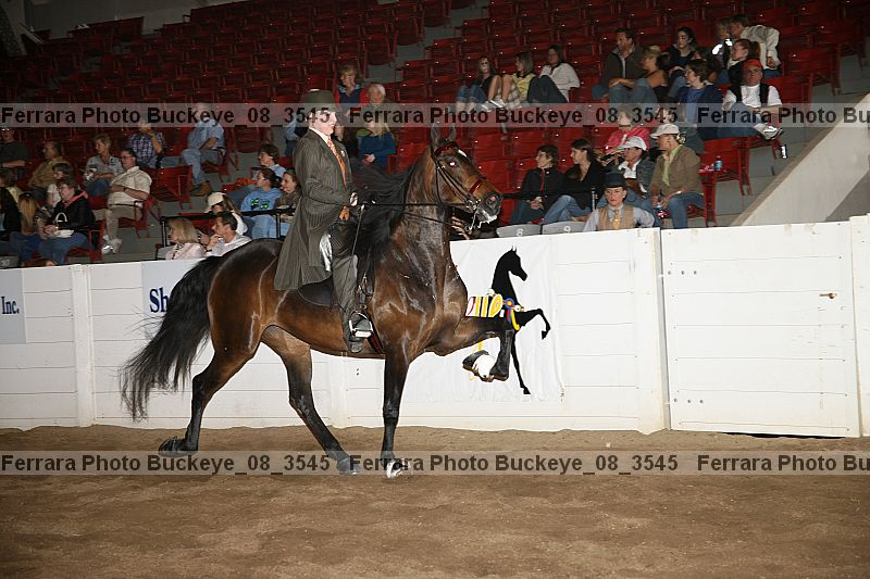 Proof Number buckeye_08_3545