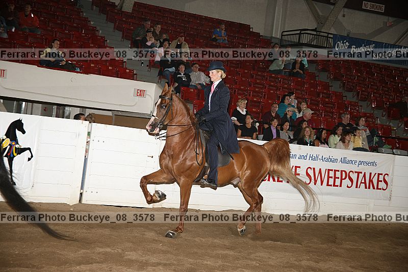 Proof Number buckeye_08_3578