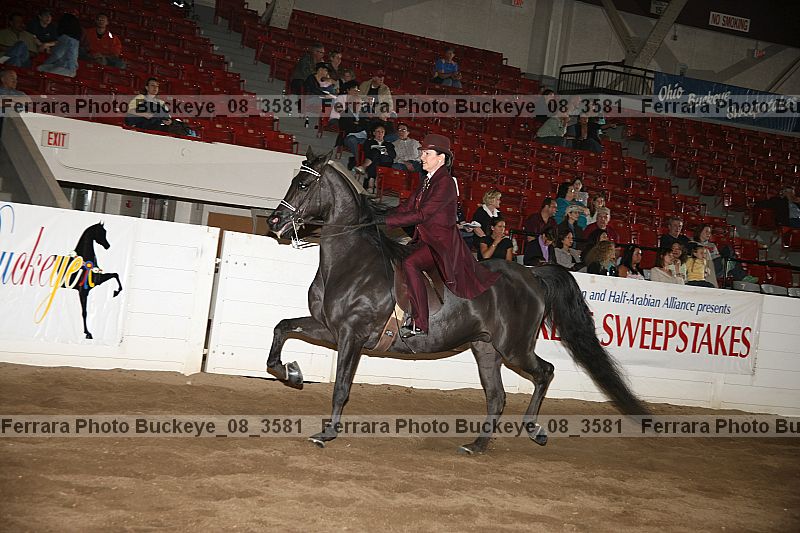 Proof Number buckeye_08_3581
