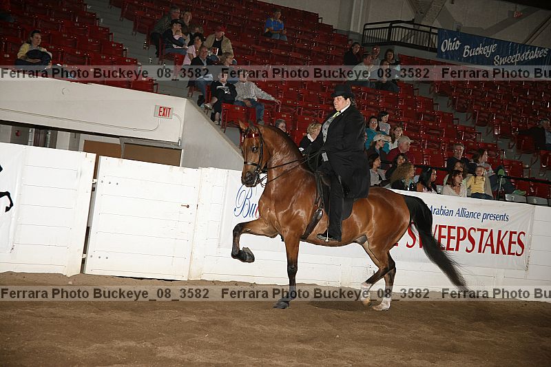 Proof Number buckeye_08_3582