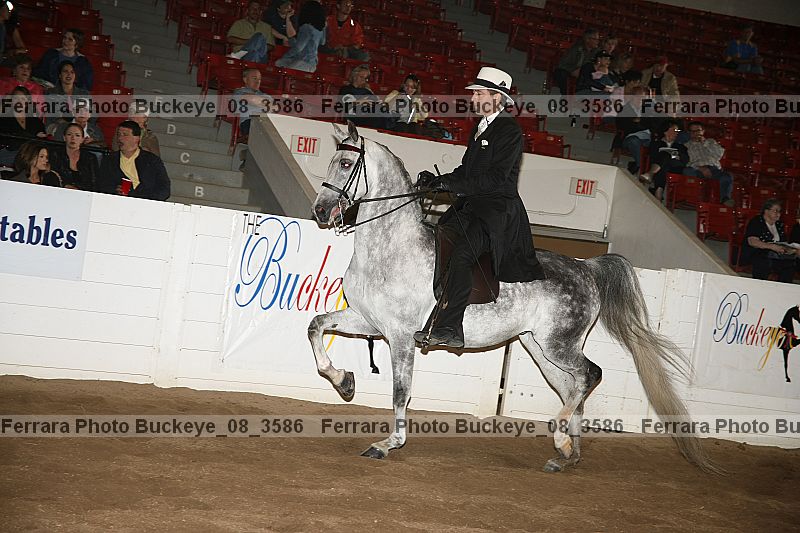 Proof Number buckeye_08_3586