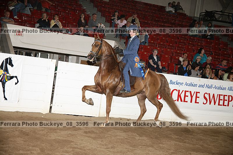 Proof Number buckeye_08_3596