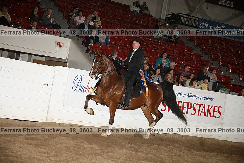 Proof Number buckeye_08_3603