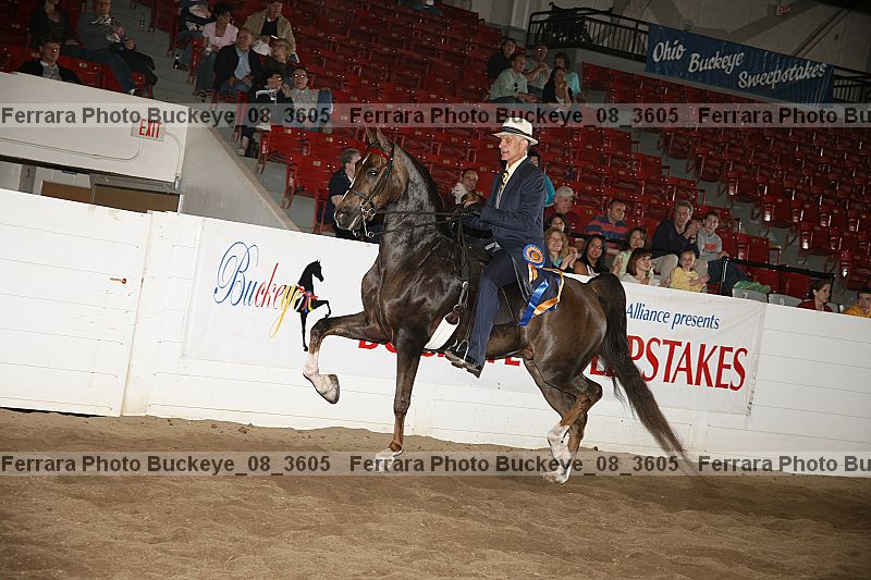 Proof Number buckeye_08_3605