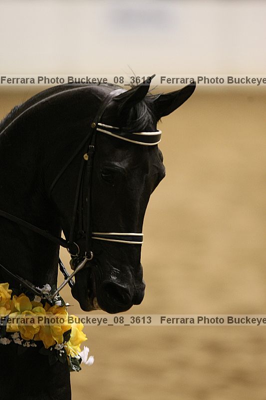 Proof Number buckeye_08_3613