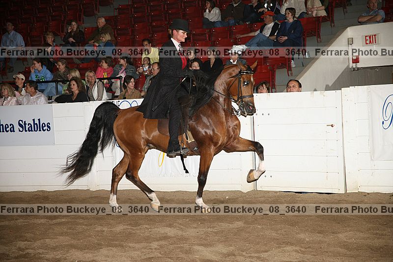 Proof Number buckeye_08_3640