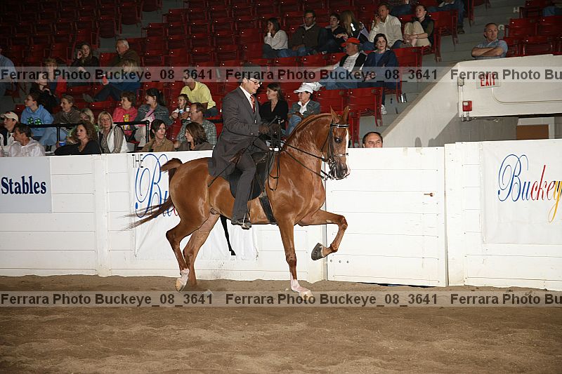 Proof Number buckeye_08_3641