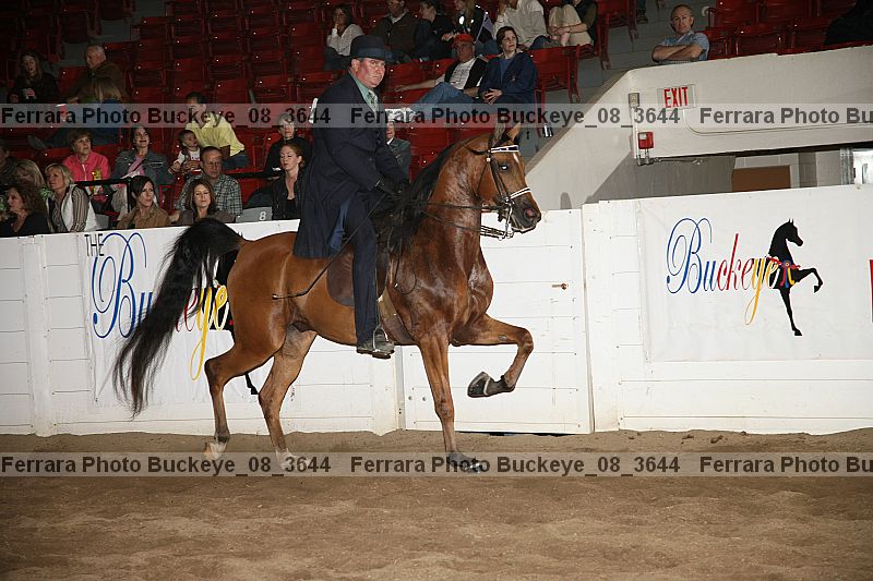 Proof Number buckeye_08_3644