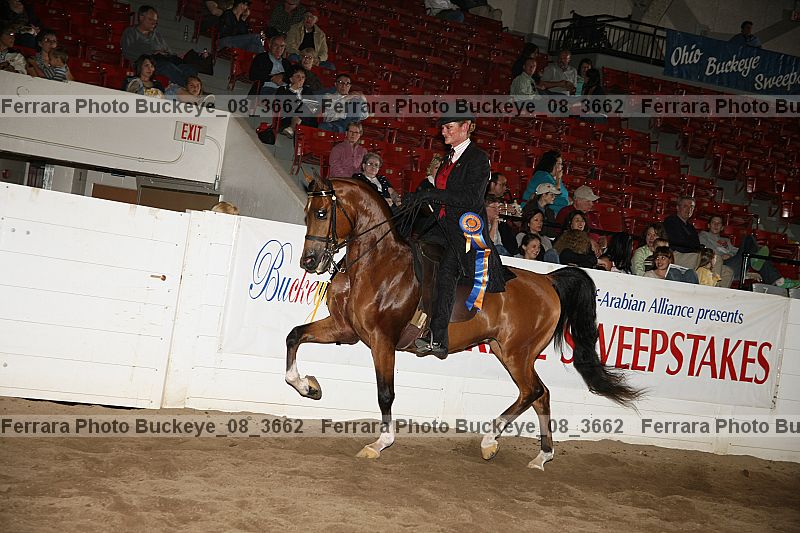 Proof Number buckeye_08_3662