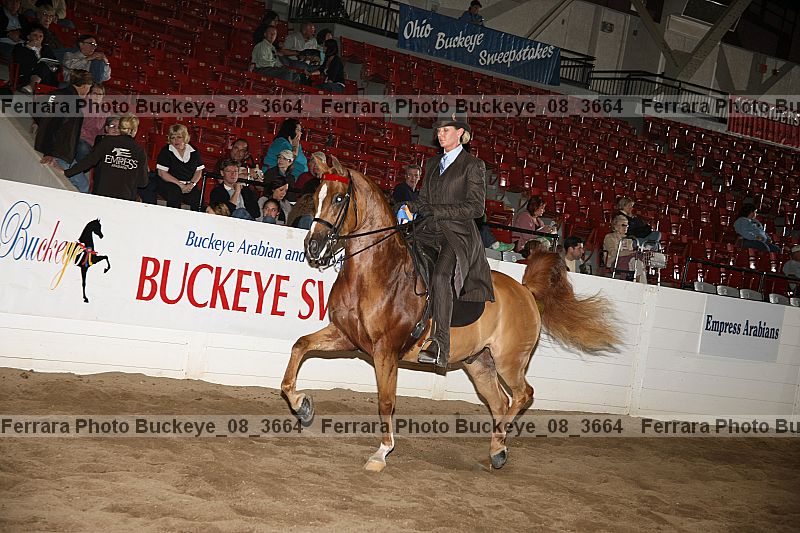 Proof Number buckeye_08_3664
