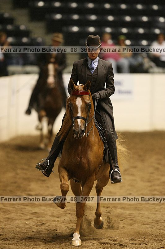 Proof Number buckeye_08_3667