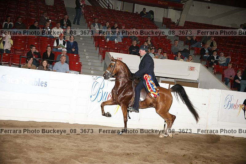 Proof Number buckeye_08_3673