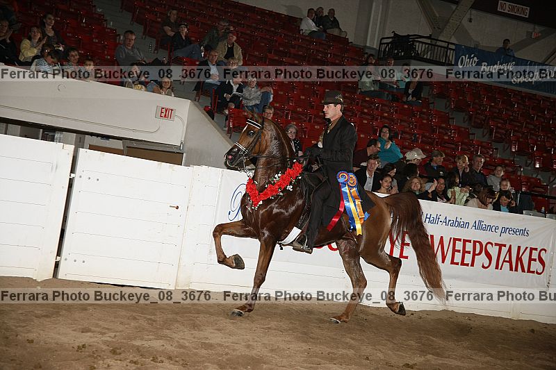 Proof Number buckeye_08_3676