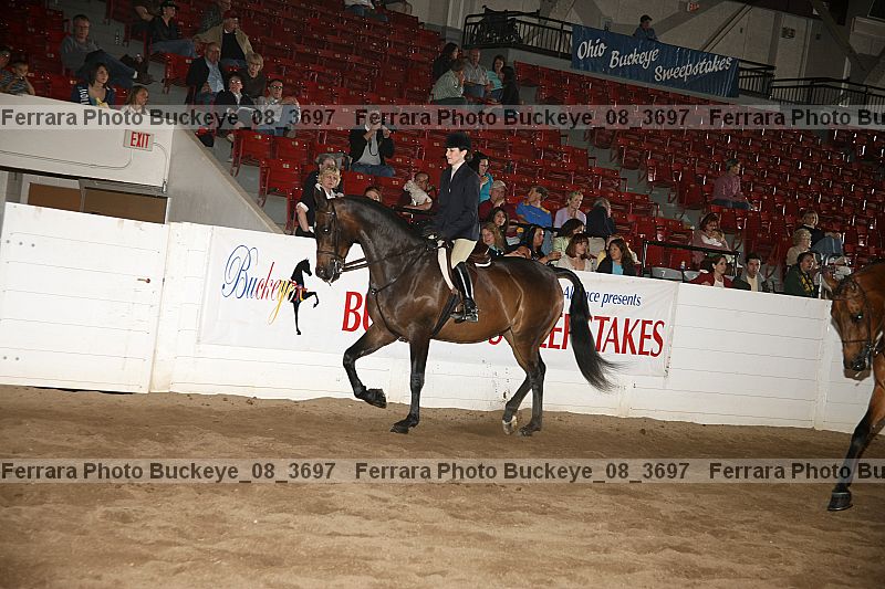Proof Number buckeye_08_3697