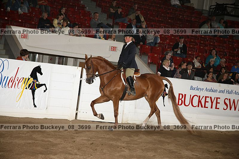 Proof Number buckeye_08_3699