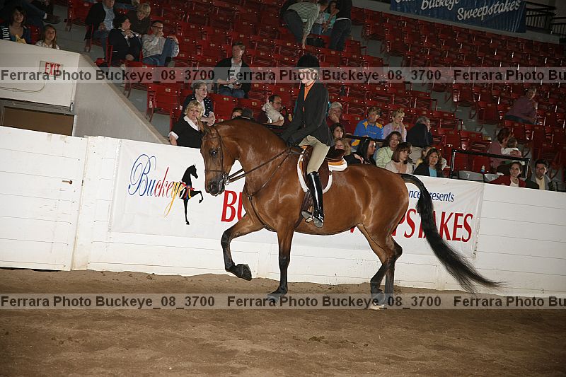 Proof Number buckeye_08_3700