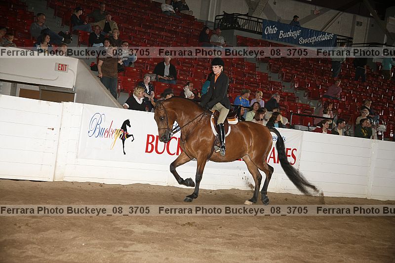 Proof Number buckeye_08_3705
