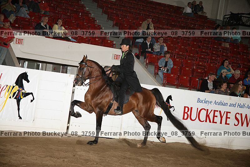 Proof Number buckeye_08_3759