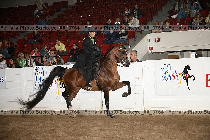 Proof Number buckeye_08_3764