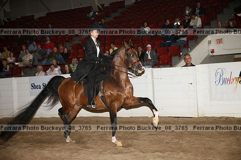 Proof Number buckeye_08_3765