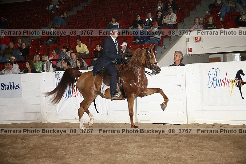 Proof Number buckeye_08_3767