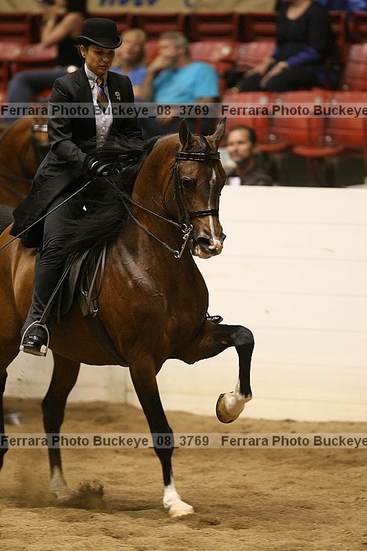 Proof Number buckeye_08_3769