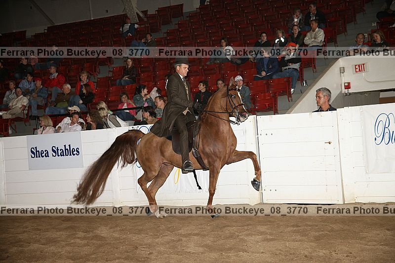 Proof Number buckeye_08_3770