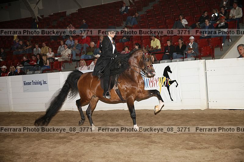 Proof Number buckeye_08_3771