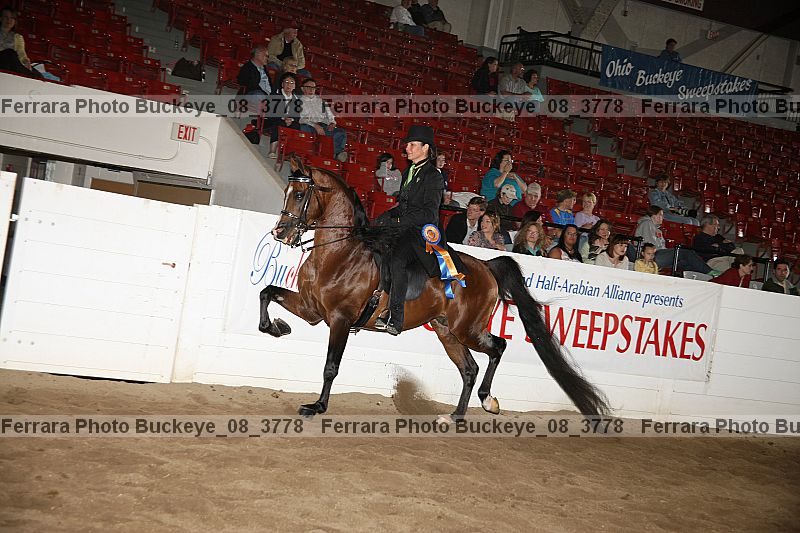 Proof Number buckeye_08_3778