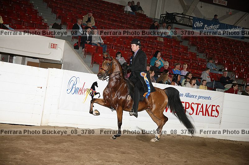 Proof Number buckeye_08_3780