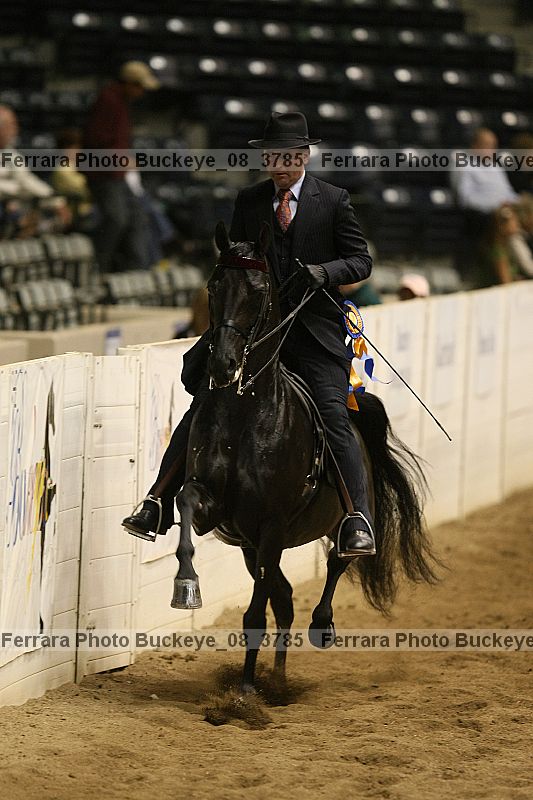 Proof Number buckeye_08_3785
