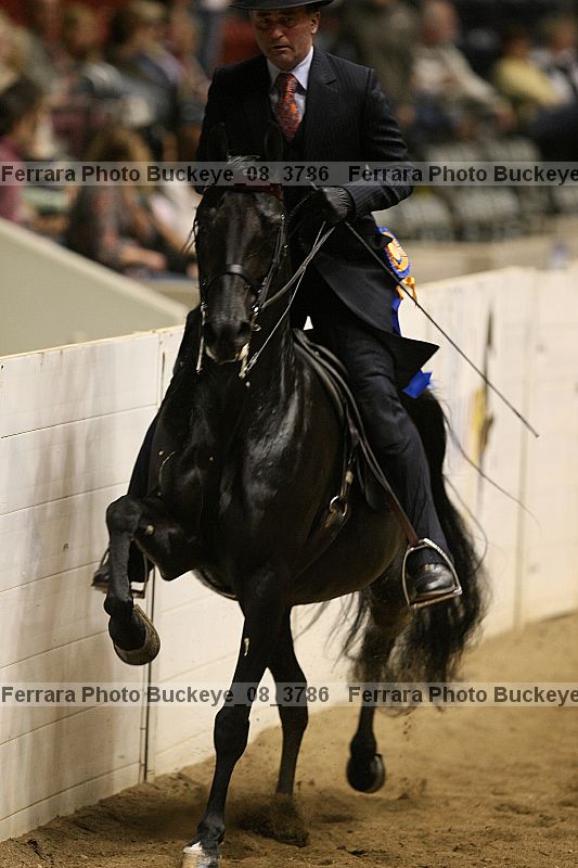 Proof Number buckeye_08_3786