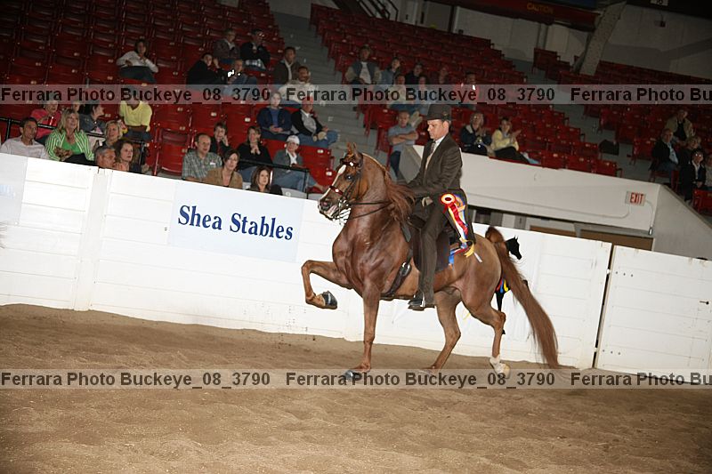 Proof Number buckeye_08_3790