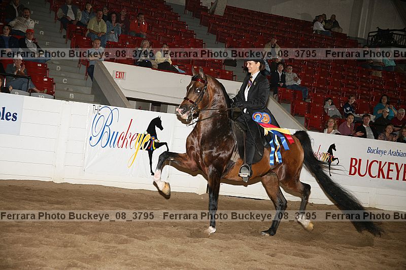 Proof Number buckeye_08_3795