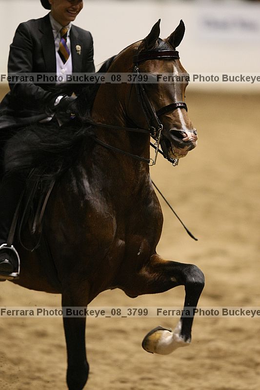 Proof Number buckeye_08_3799