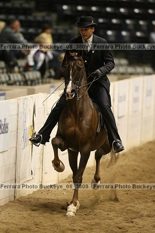 Proof Number buckeye_08_3809