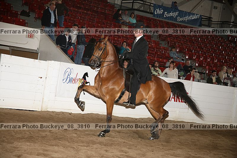 Proof Number buckeye_08_3810