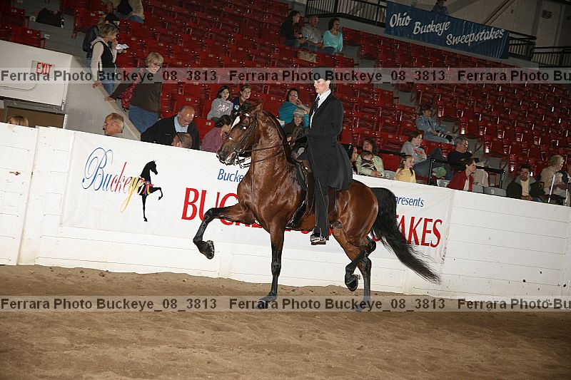 Proof Number buckeye_08_3813