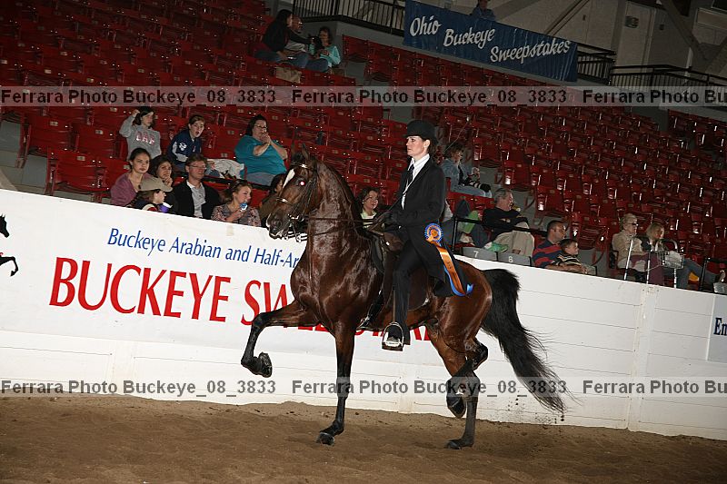 Proof Number buckeye_08_3833