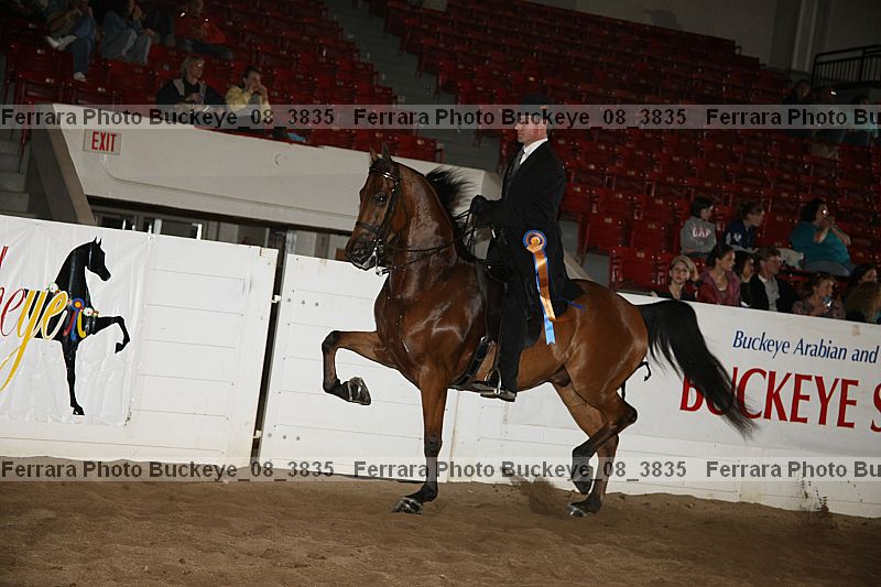 Proof Number buckeye_08_3835