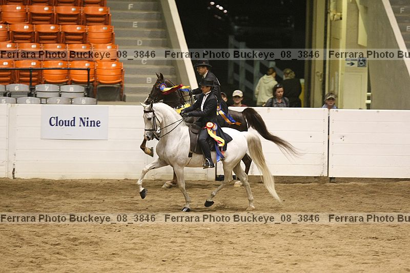 Proof Number buckeye_08_3846