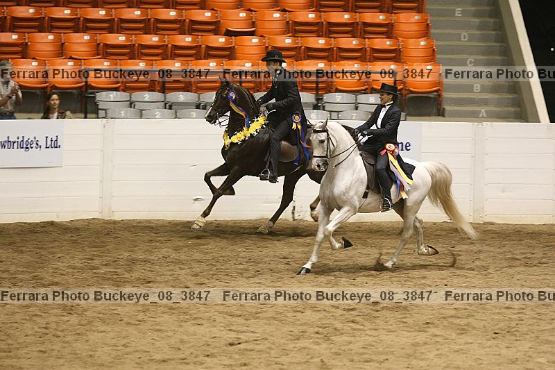 Proof Number buckeye_08_3847