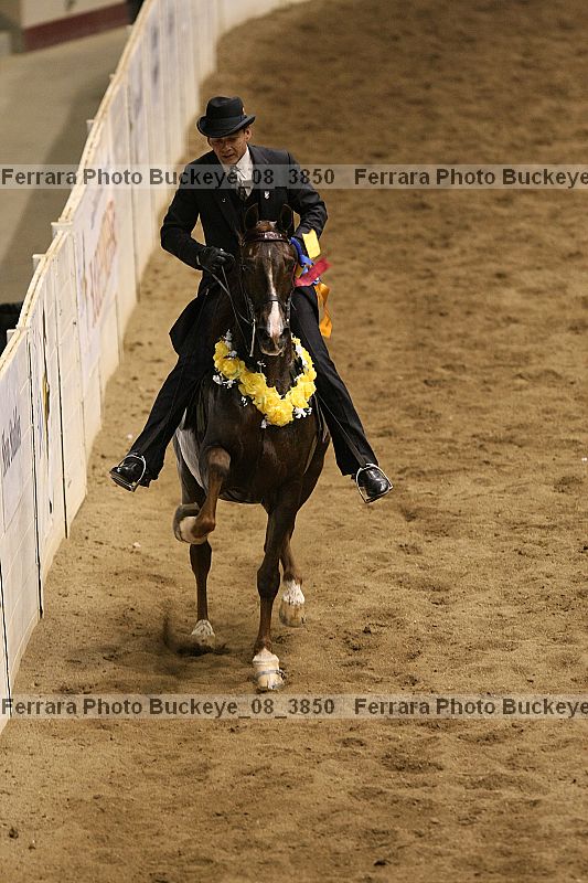 Proof Number buckeye_08_3850