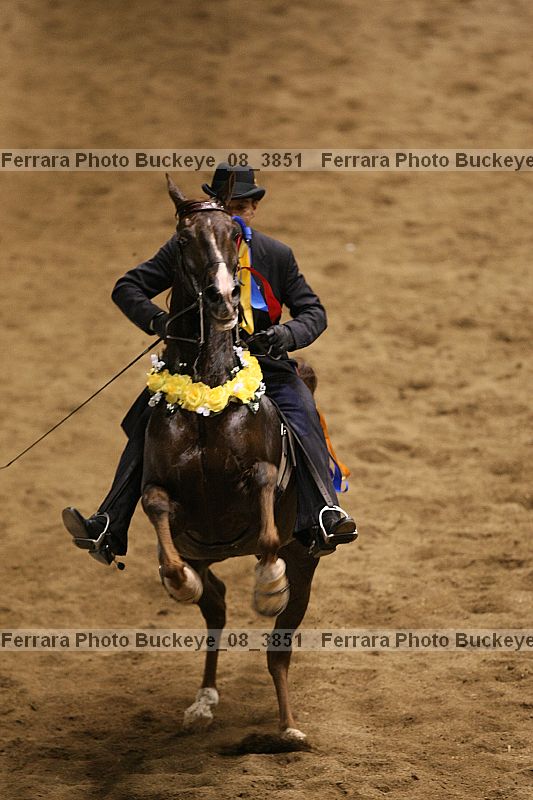 Proof Number buckeye_08_3851
